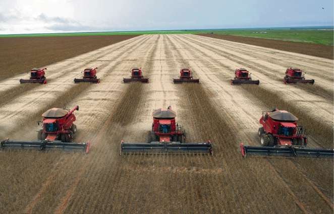 Campos de cultivo de trigo, maíz y soja en Argentina