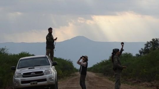 Voluntarios de Aves Argentinas monitoreando aves en su hábitat natural