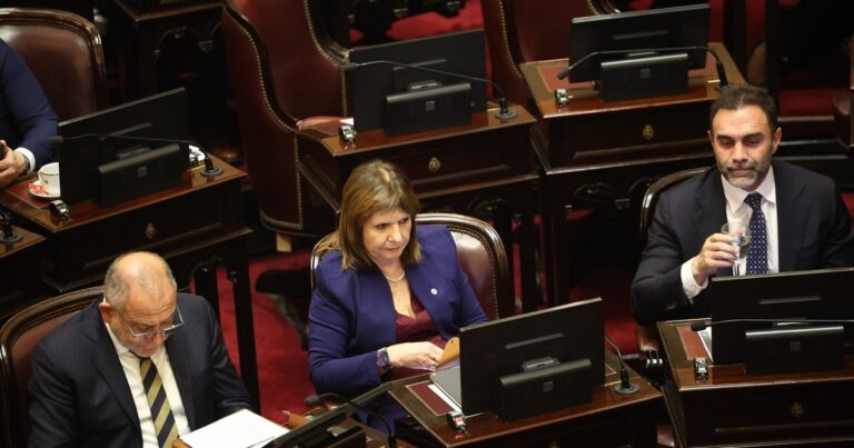 Patricia Bullrich en el Senado durante una sesión