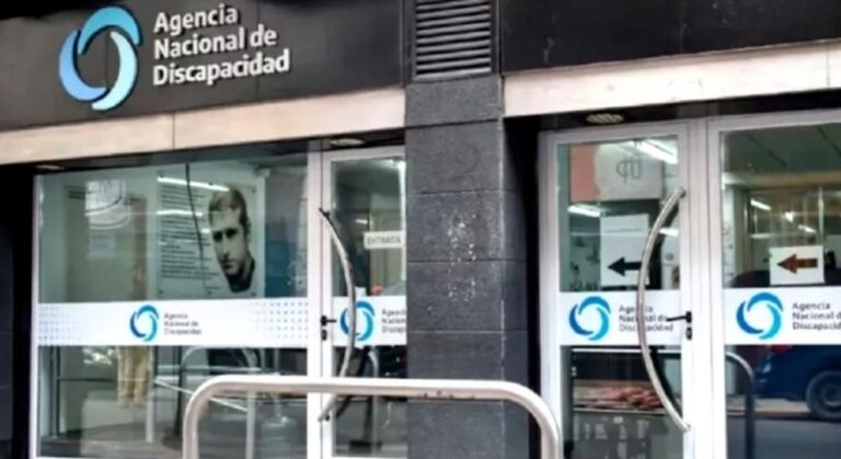 Documentación de la causa ANDIS sobre compras con presuntas irregularidades