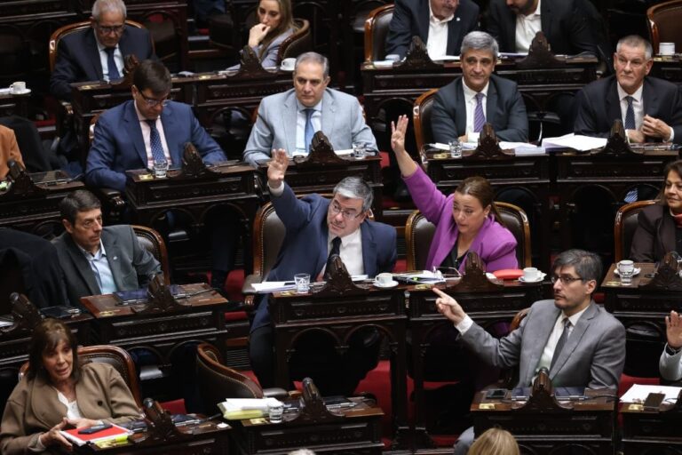 Sesión en la Cámara de Diputados de Argentina