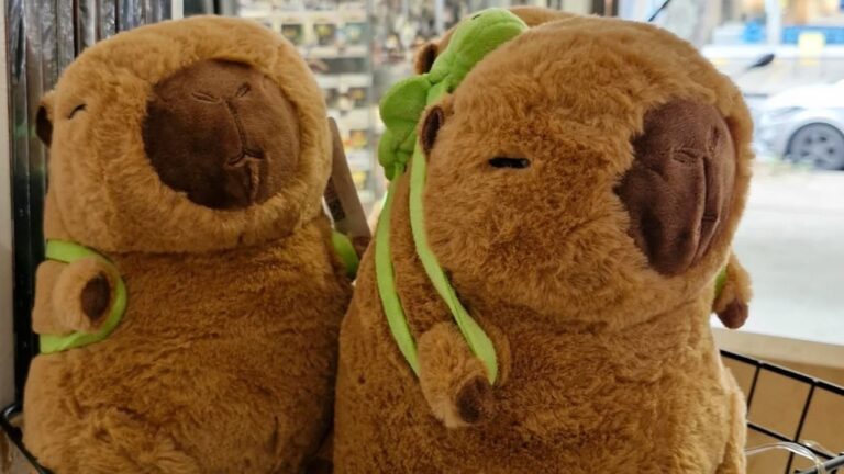 Peluches de carpincho utilizados para ocultar droga