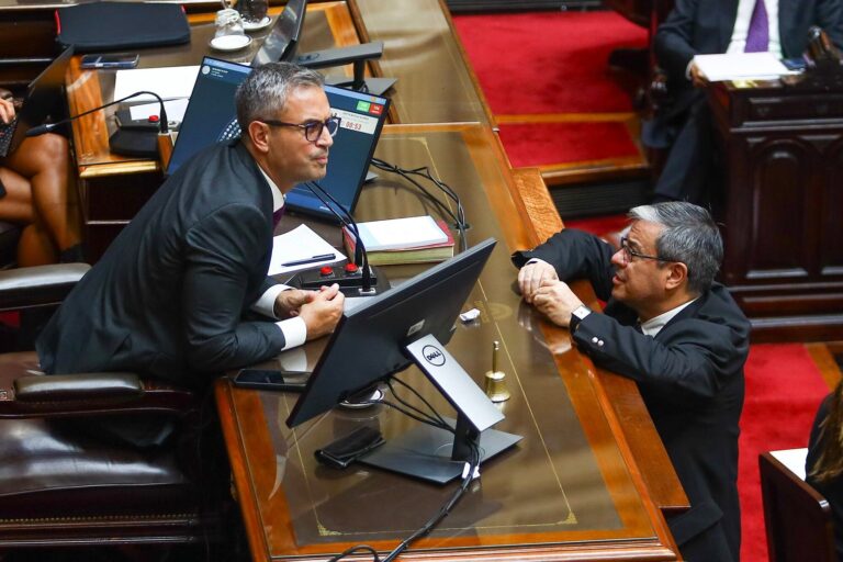 Sesión en la Cámara de Diputados