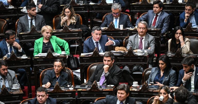 Sesión en la Cámara de Diputados durante el debate por la prórroga de la emergencia en discapacidad