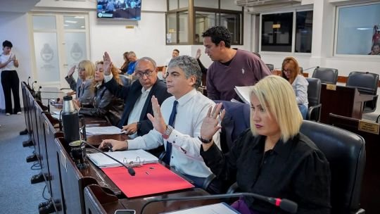 Sesión del Concejo Municipal de Resistencia donde se declaró la emergencia hídrica
