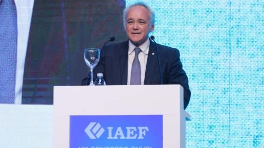 Vladimir Werning, vicepresidente del Banco Central, durante su exposición en el IAEF