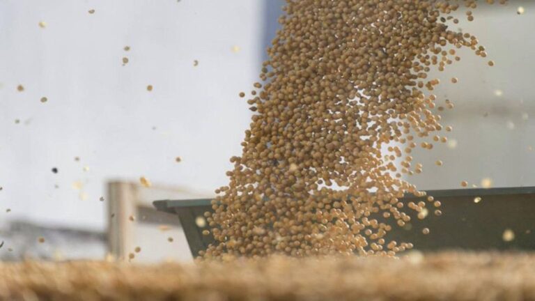Campo de soja en Argentina con silos y buques de exportación