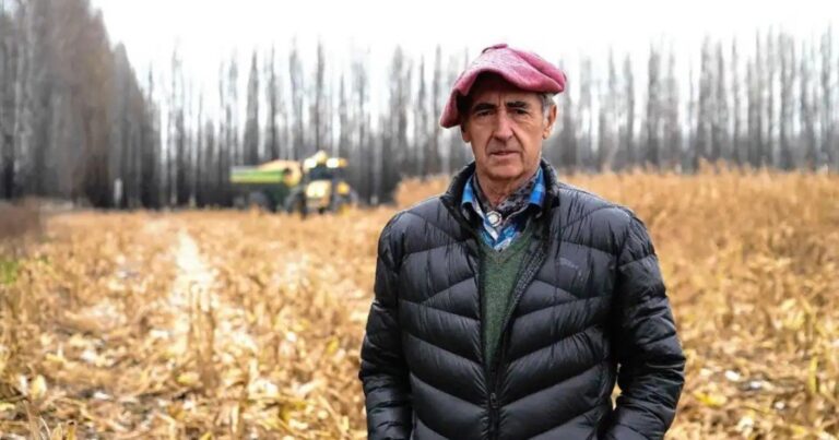 Chacra de maíz bajo riego en Allen, Río Negro, con pozos petroleros en el fondo