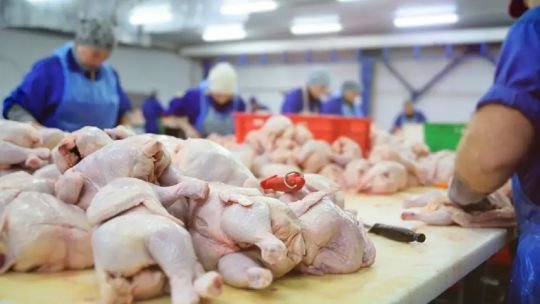 Cortes de pollo y carne vacuna en una carnicería