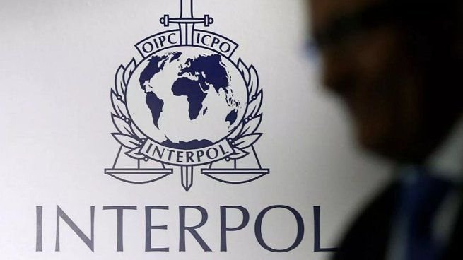 Interpol incautó más de 1.000 animales y detuvo a 233 personas en América Latina